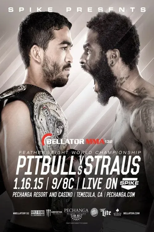 Poster of the movie Bellator 132: Pitbull vs. Straus 2