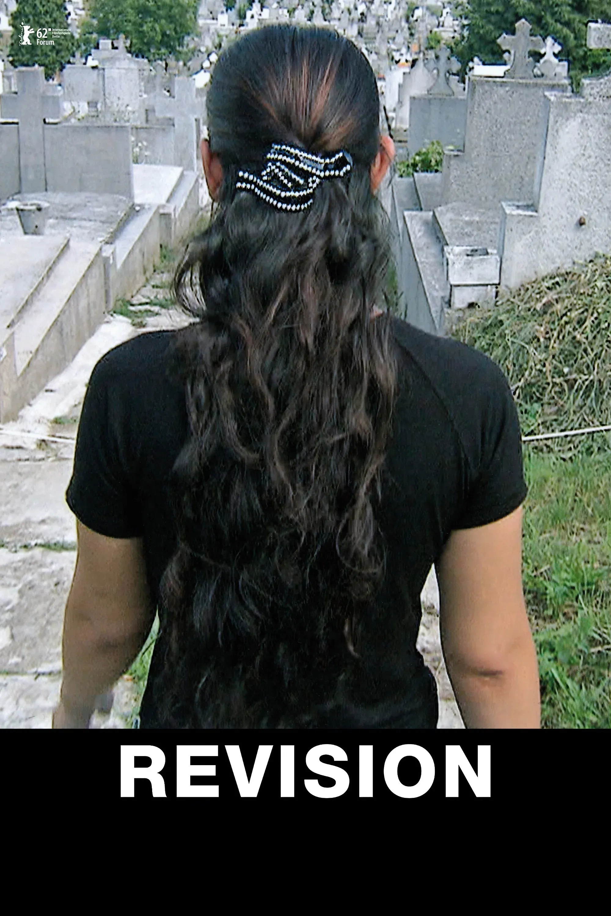 Poster for Revision