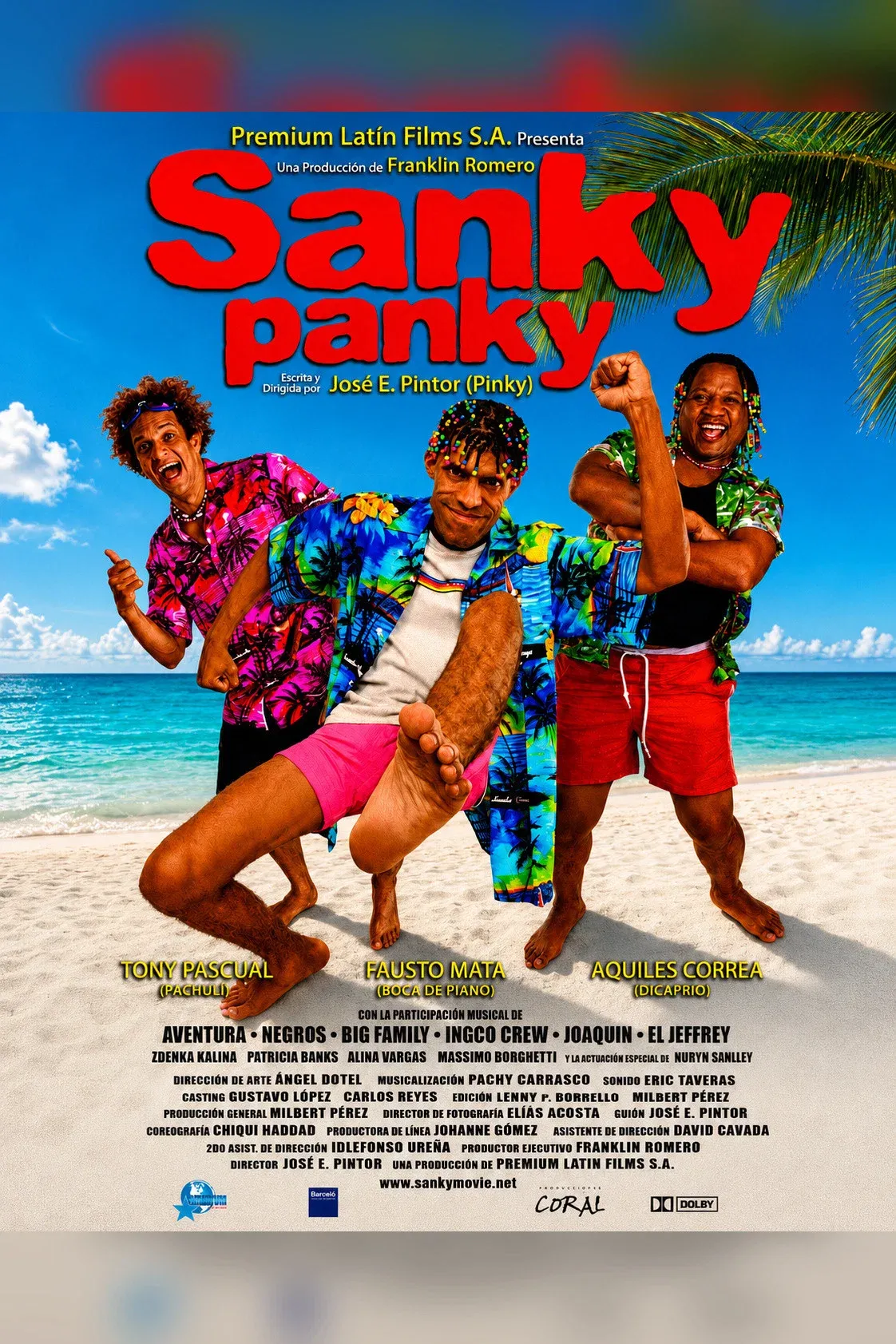 Poster of the movie Sanky Panky