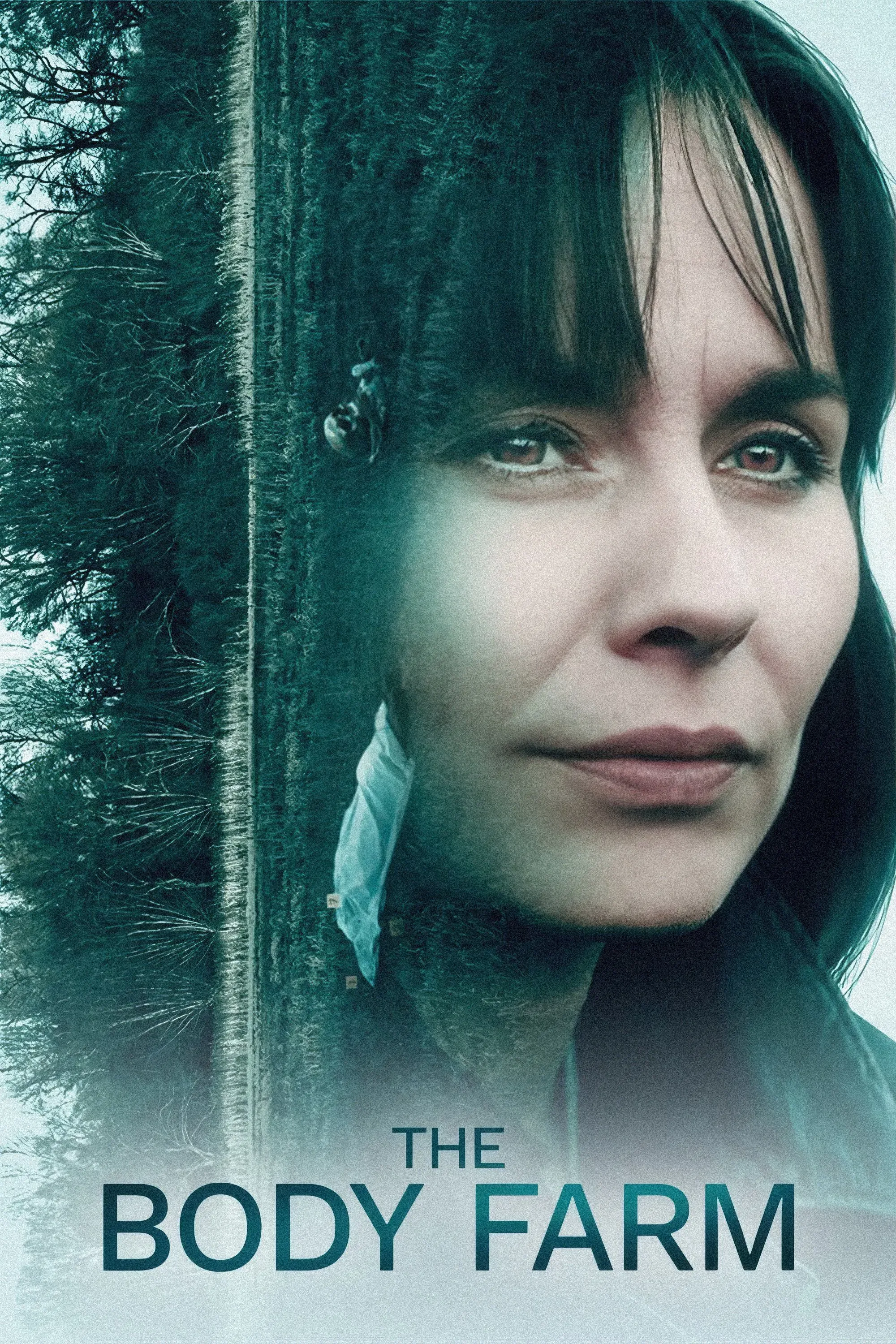 Poster of The Body Farm