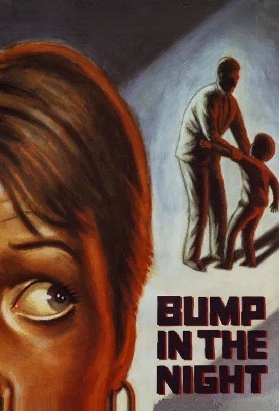 Poster of the movie Bump in the Night