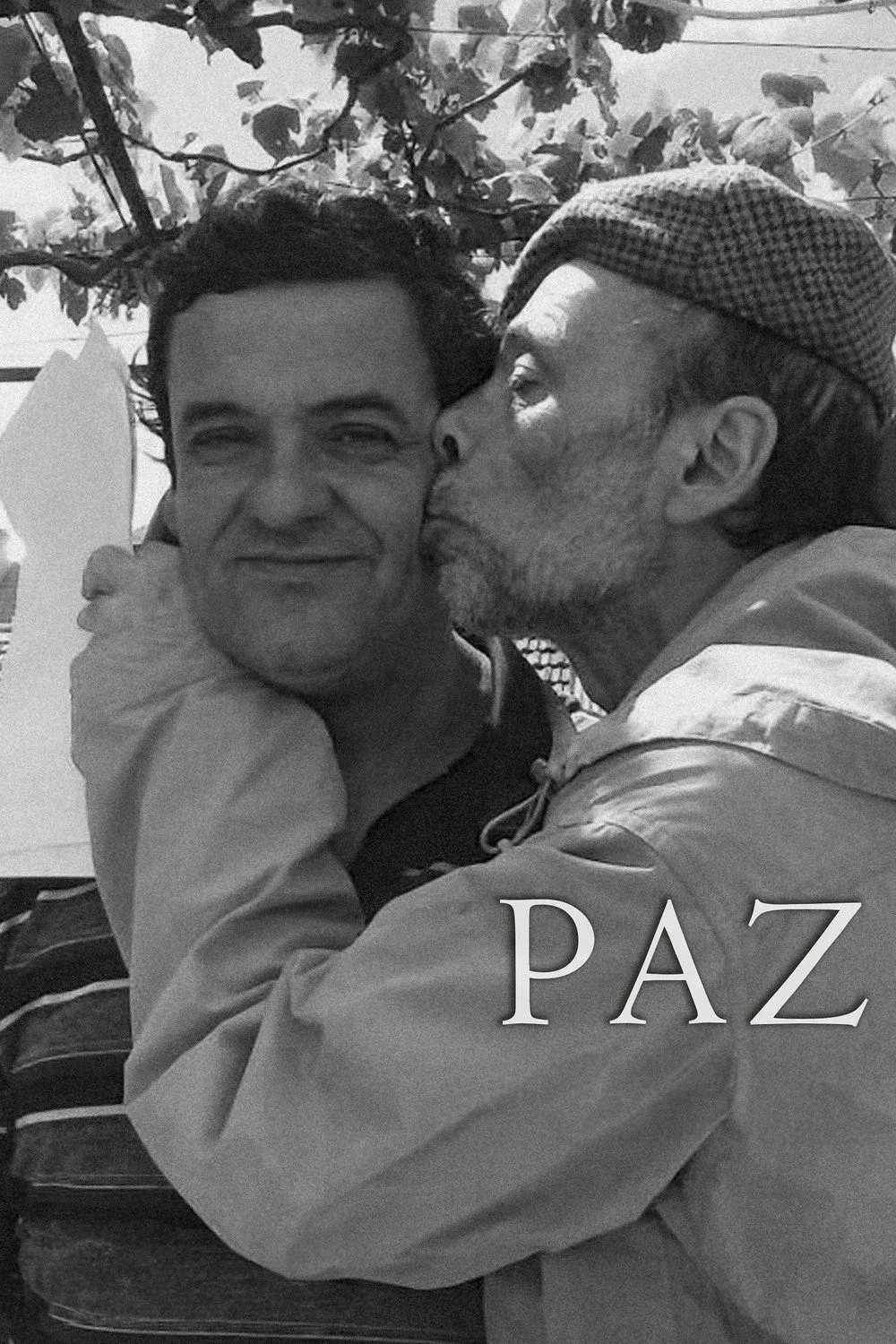 Poster for Peace