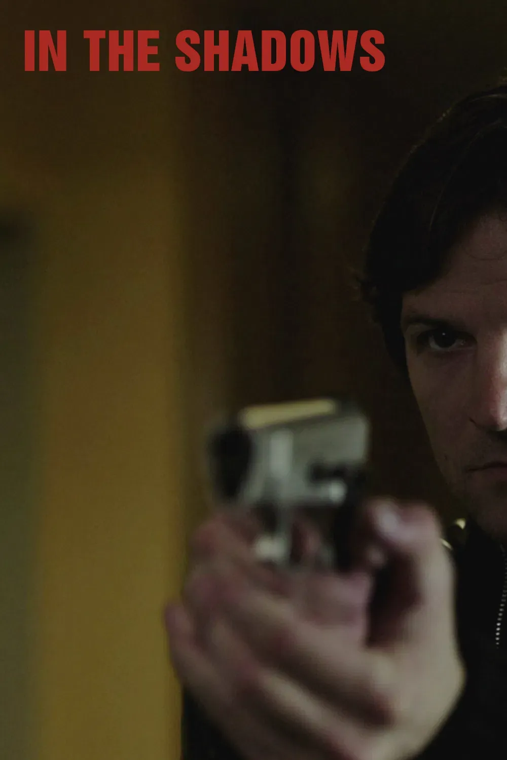 Poster of the movie In the Shadows