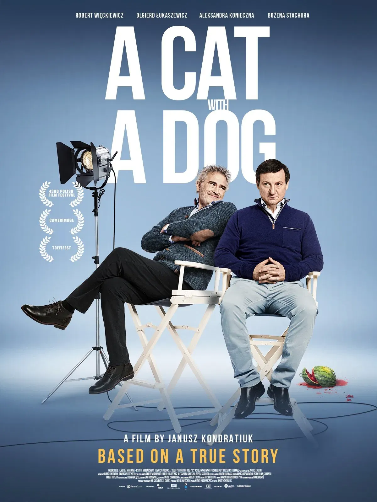 Poster of the movie A Cat with a Dog