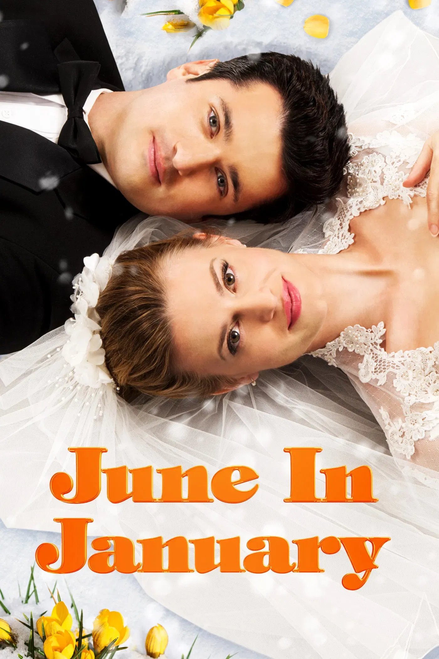 Poster of the movie June in January