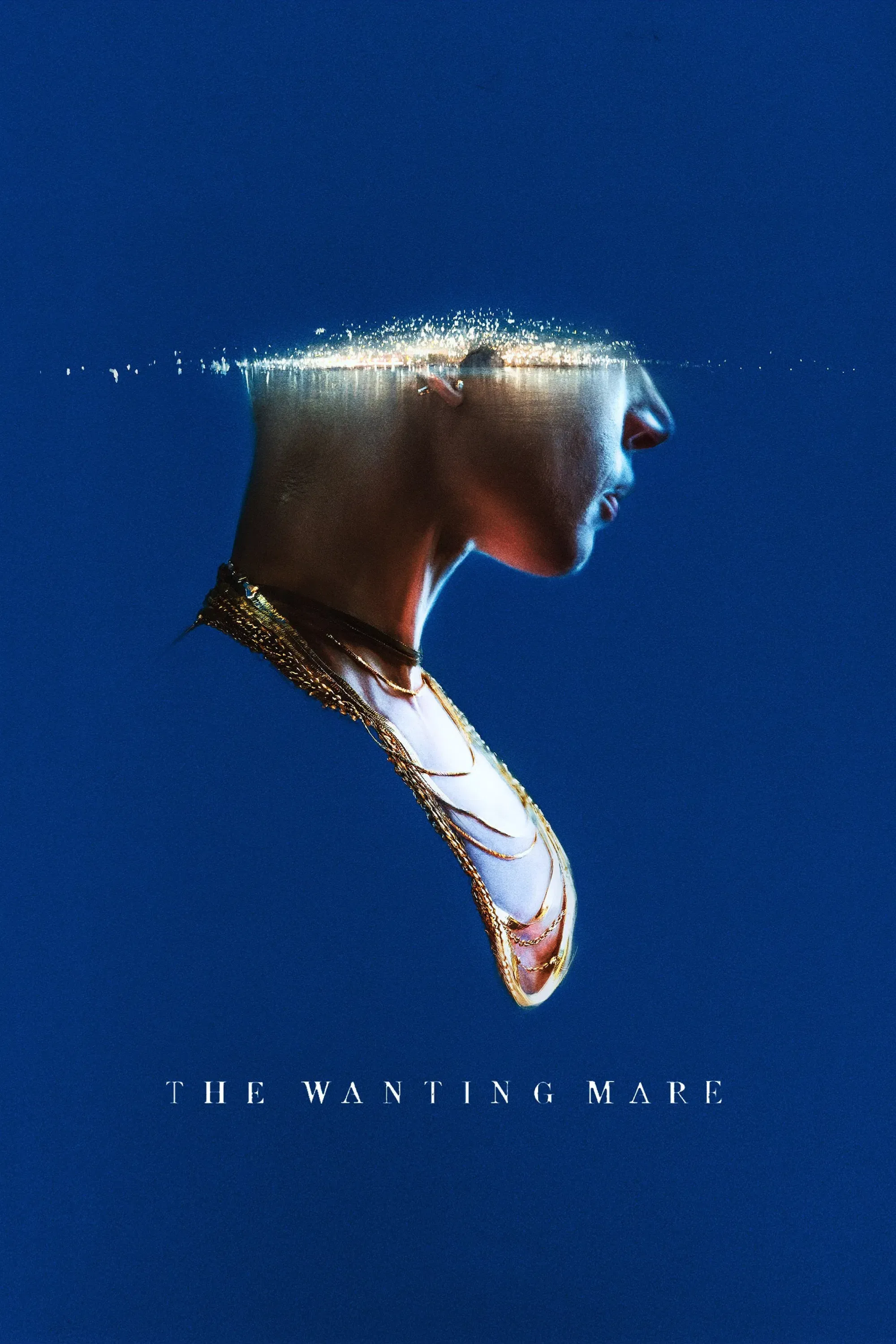 Poster of the movie The Wanting Mare