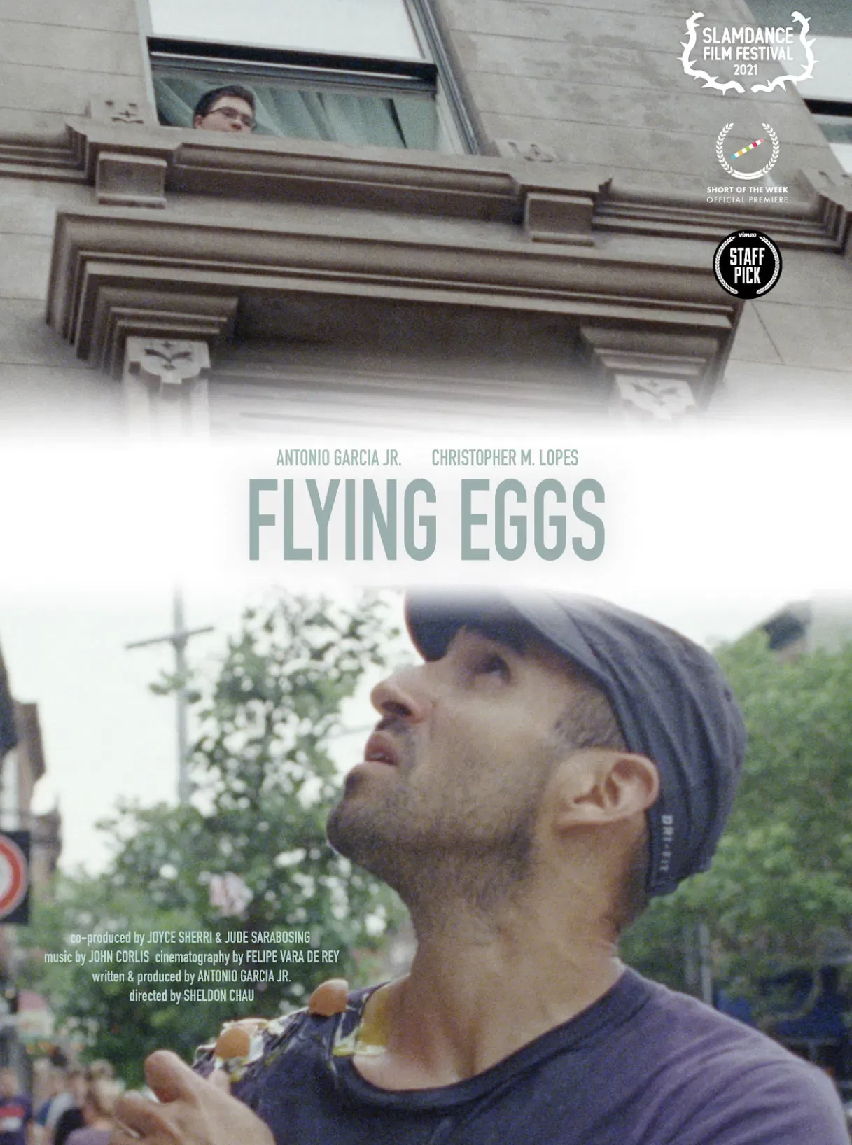 Poster of the movie Flying Eggs
