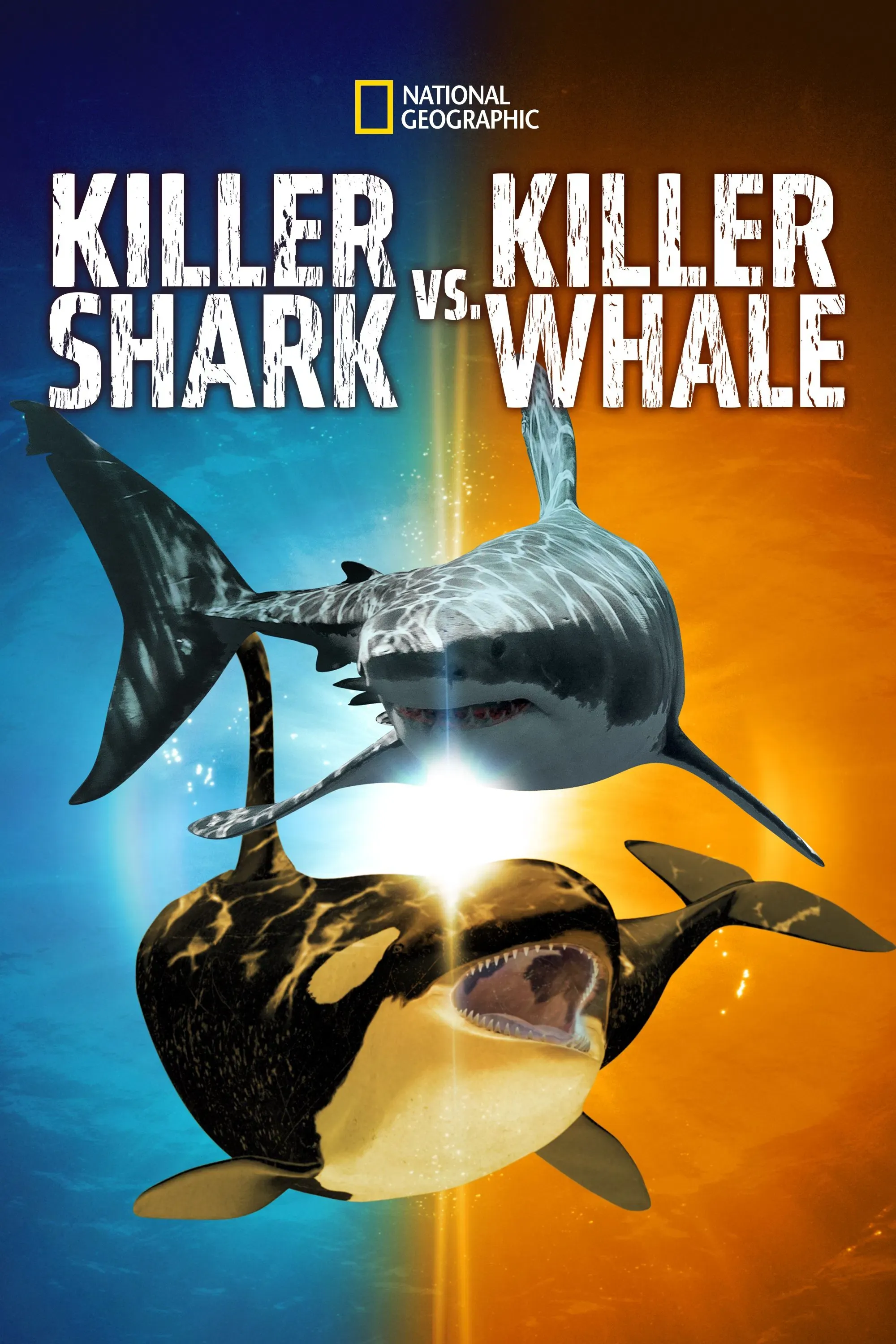Poster of the movie Killer Shark Vs. Killer Whale