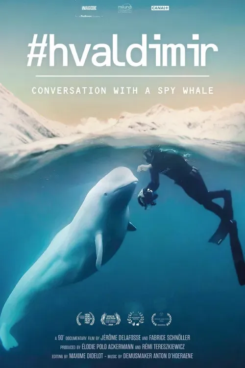 Poster of the movie #Hvaldimir, Conversation With a Spy Whale