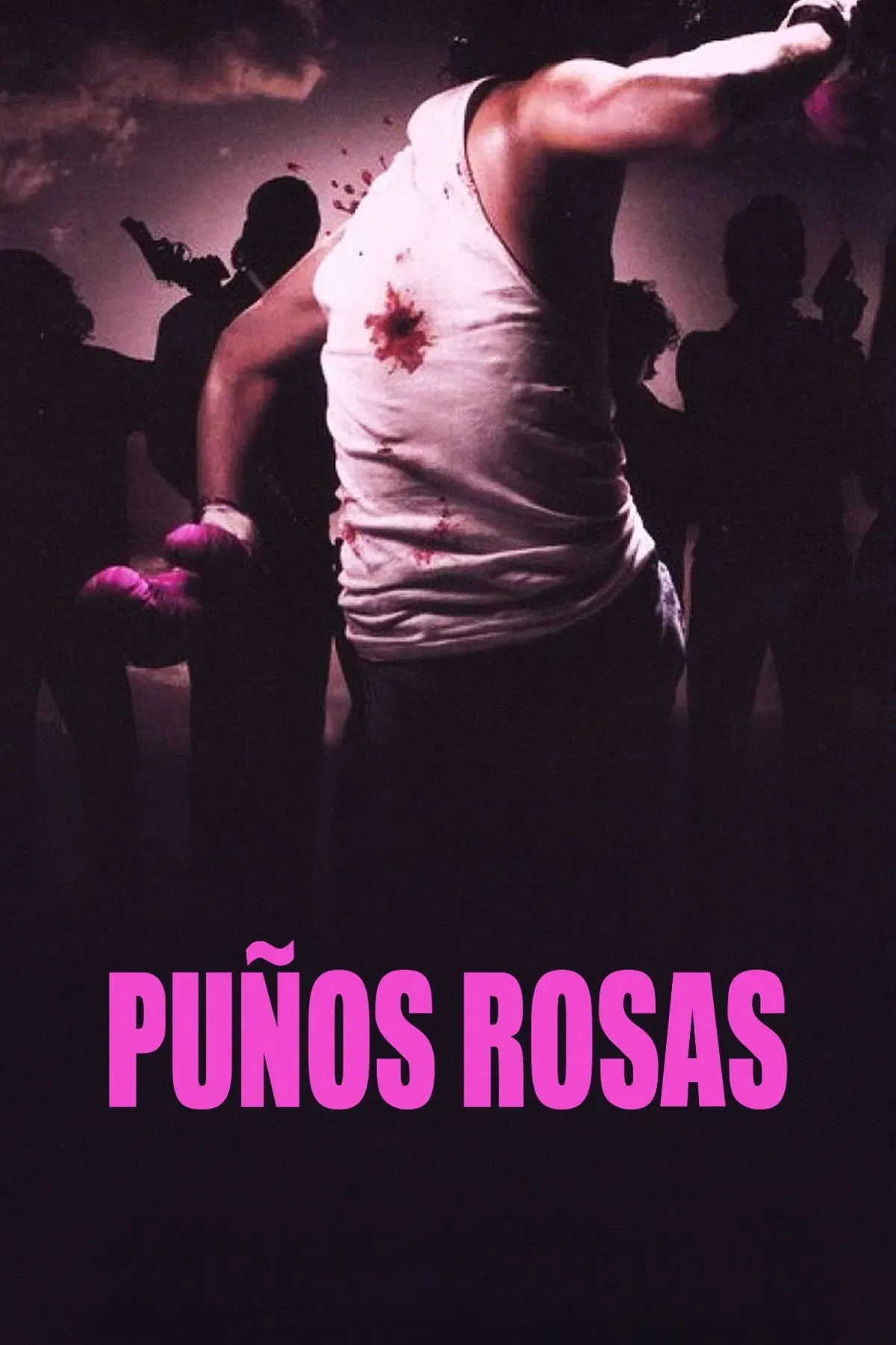 Poster of the movie Pink Punch