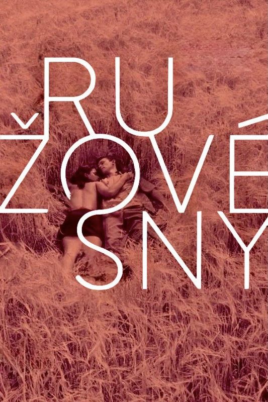 Poster of the movie Rose Tinted Dreams