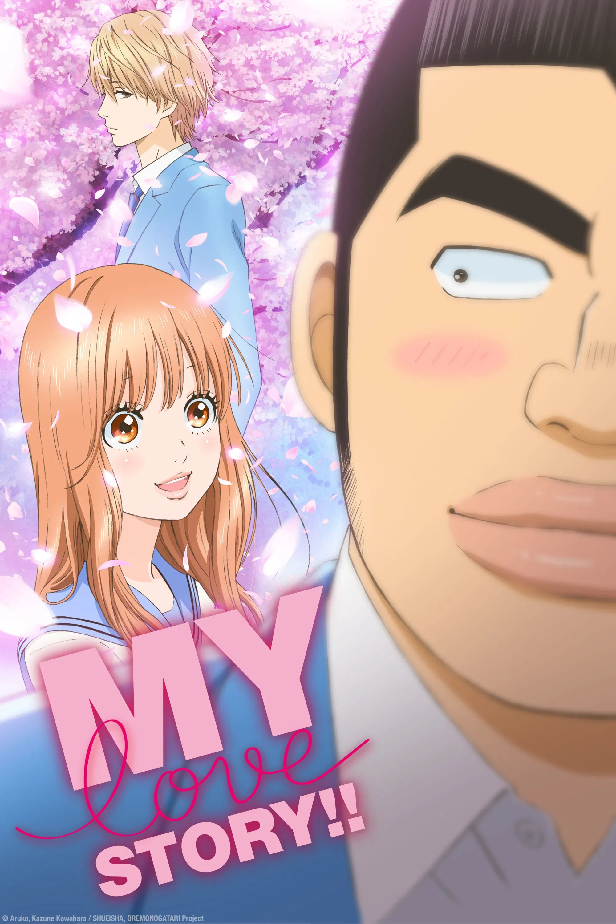 Poster of My Love Story!!