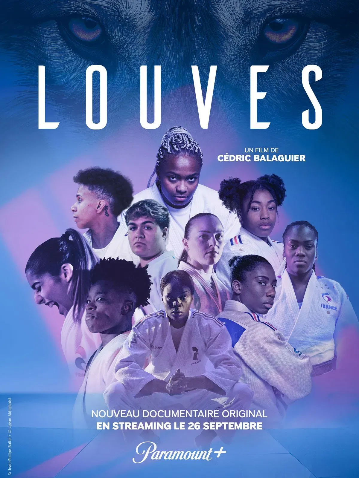 Poster of Louves