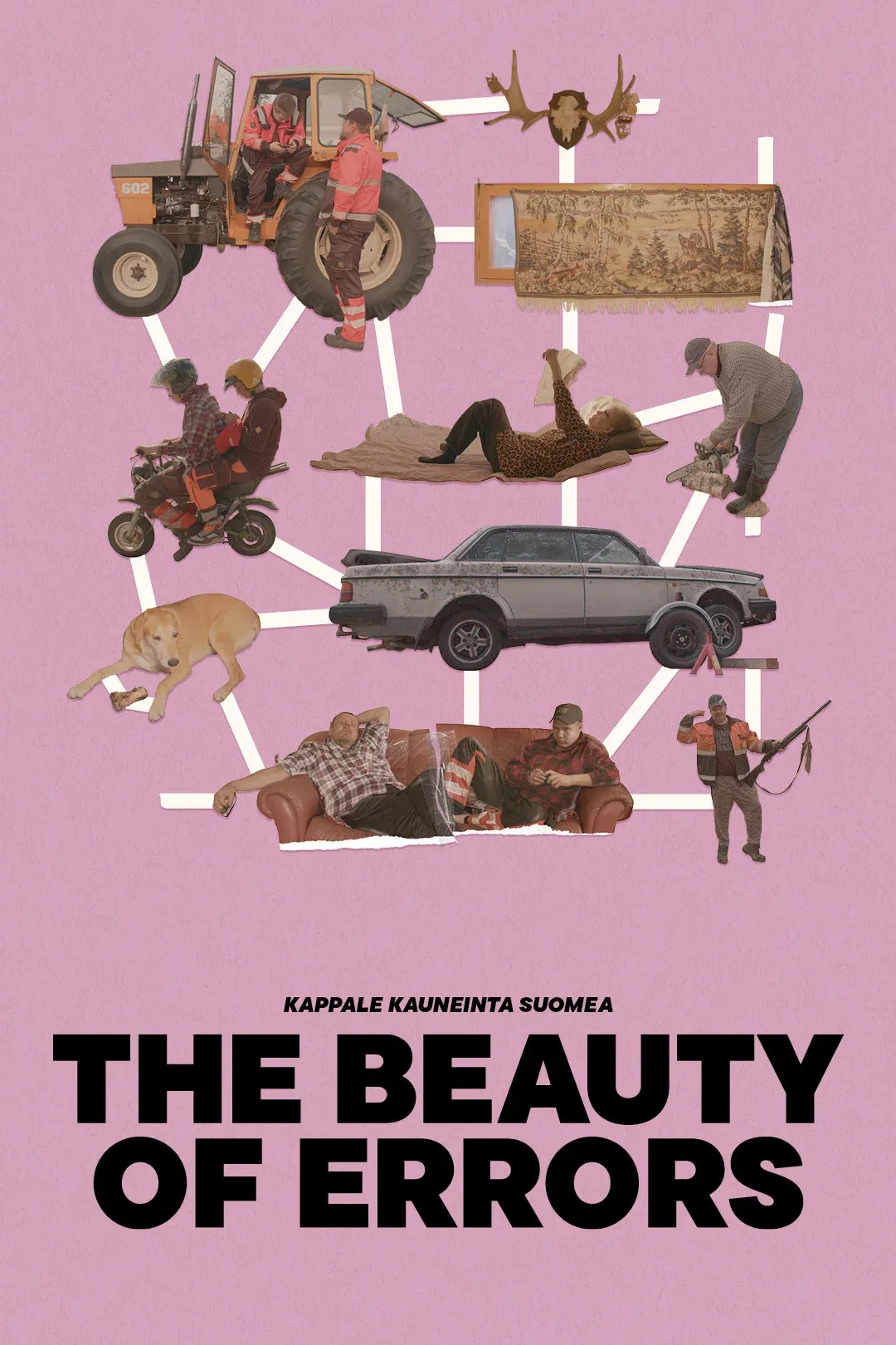 Poster for The Beauty of Errors