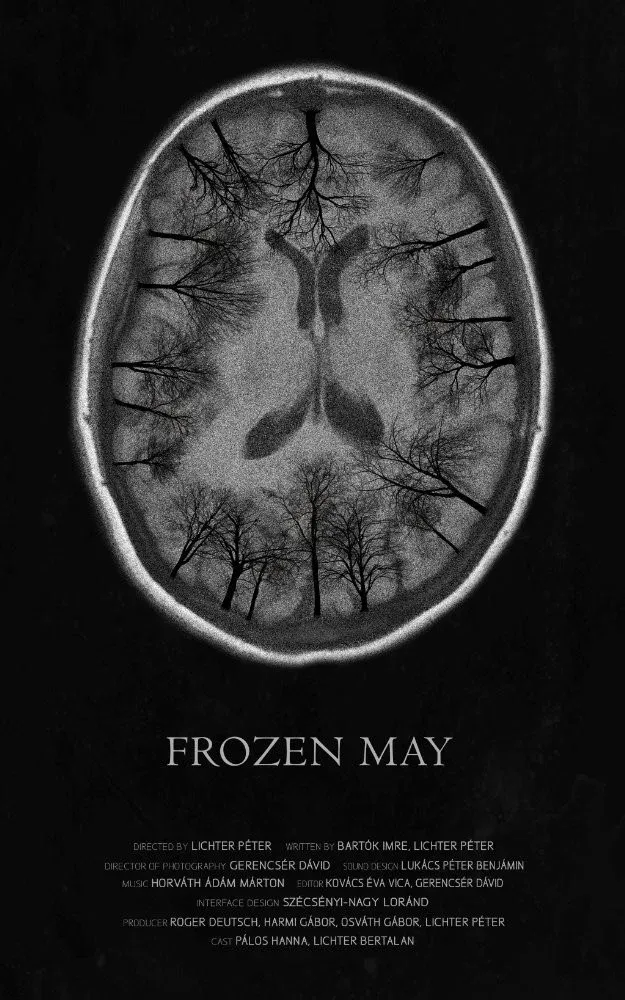 Poster for Frozen May