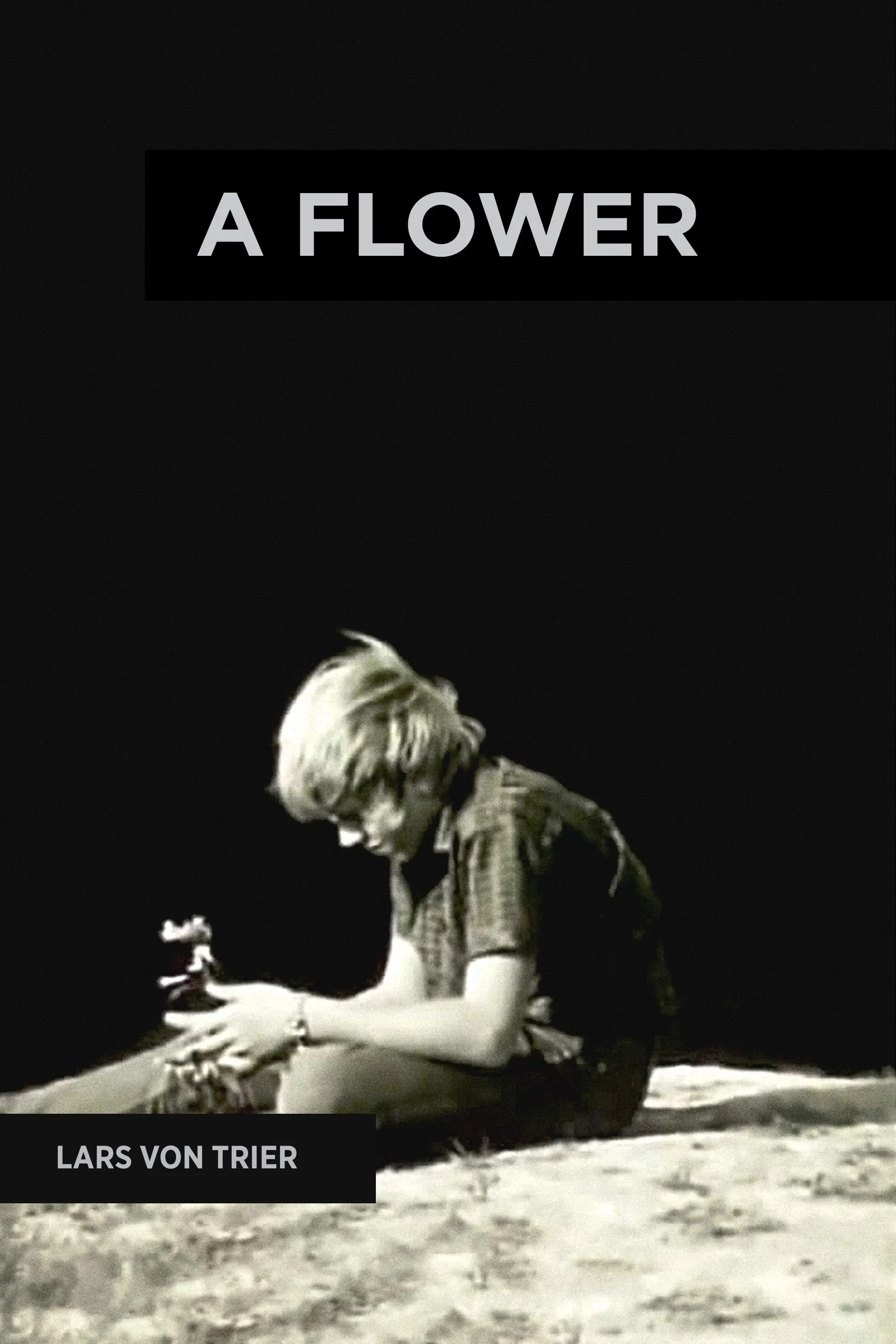 Poster of the movie A Flower