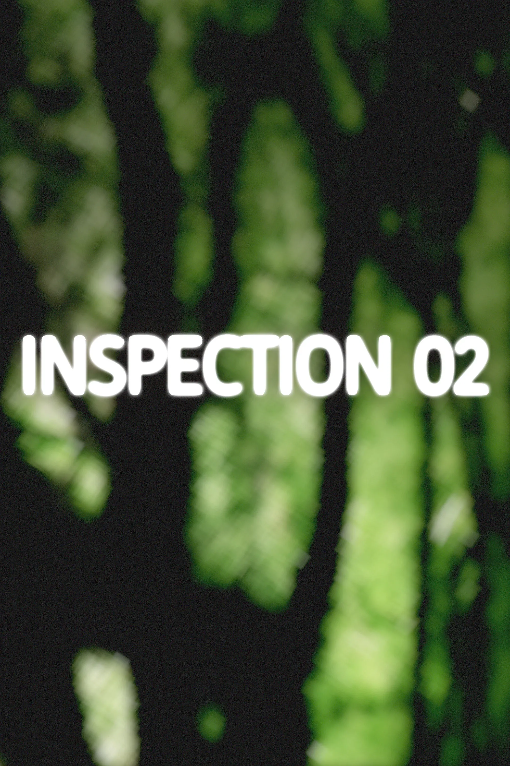 Poster for Inspection 02