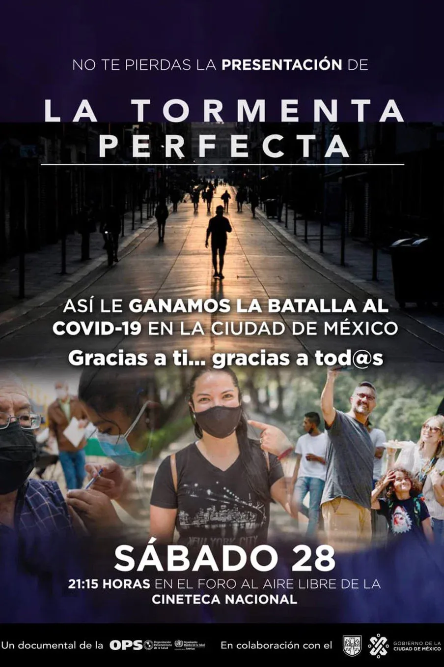 Poster for La tormenta perfecta
