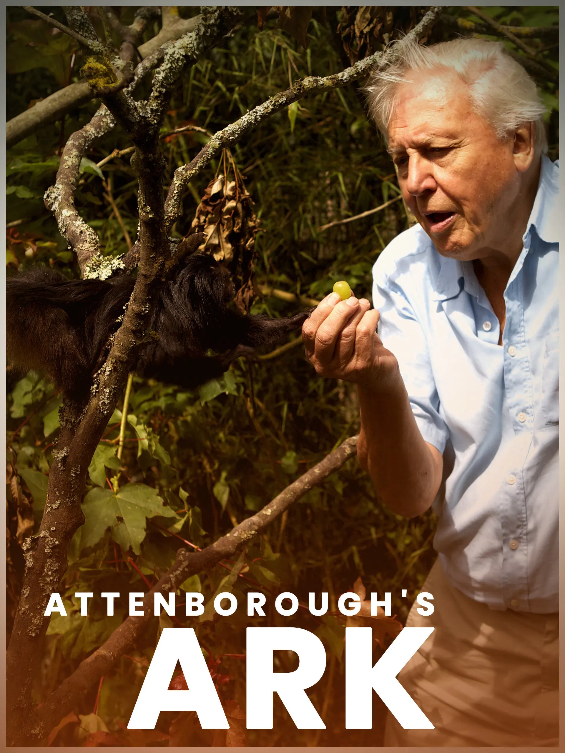 Poster of the movie Attenborough's Ark