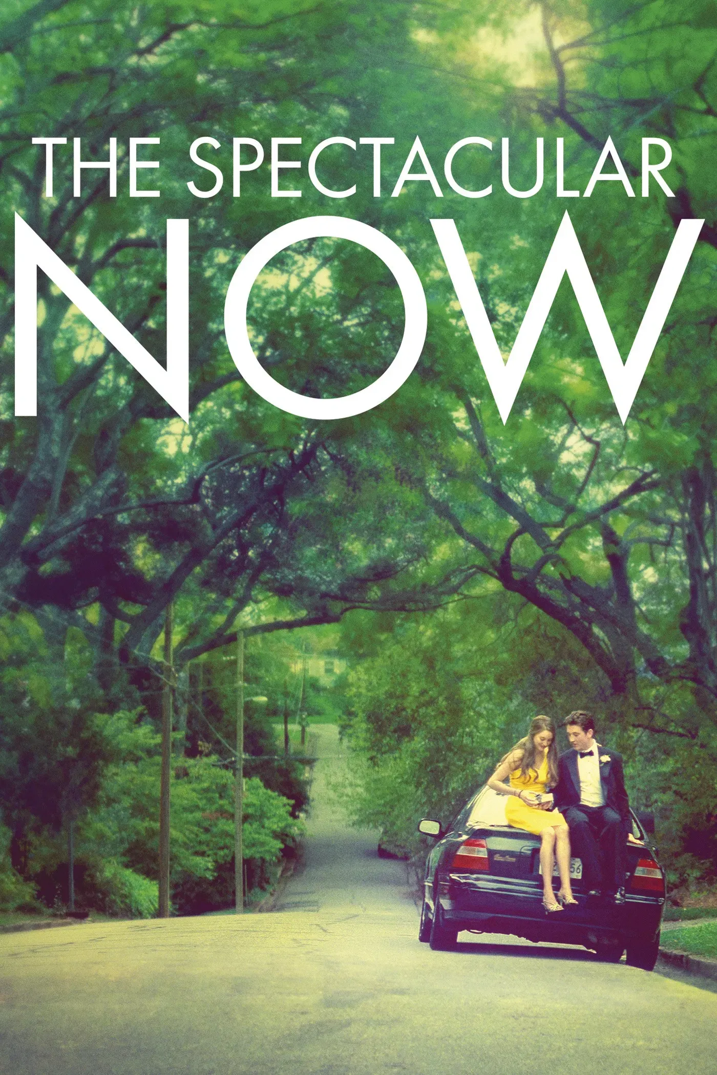 Poster of the movie The Spectacular Now