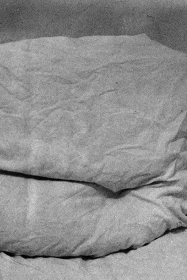 Poster of the movie For Dürer