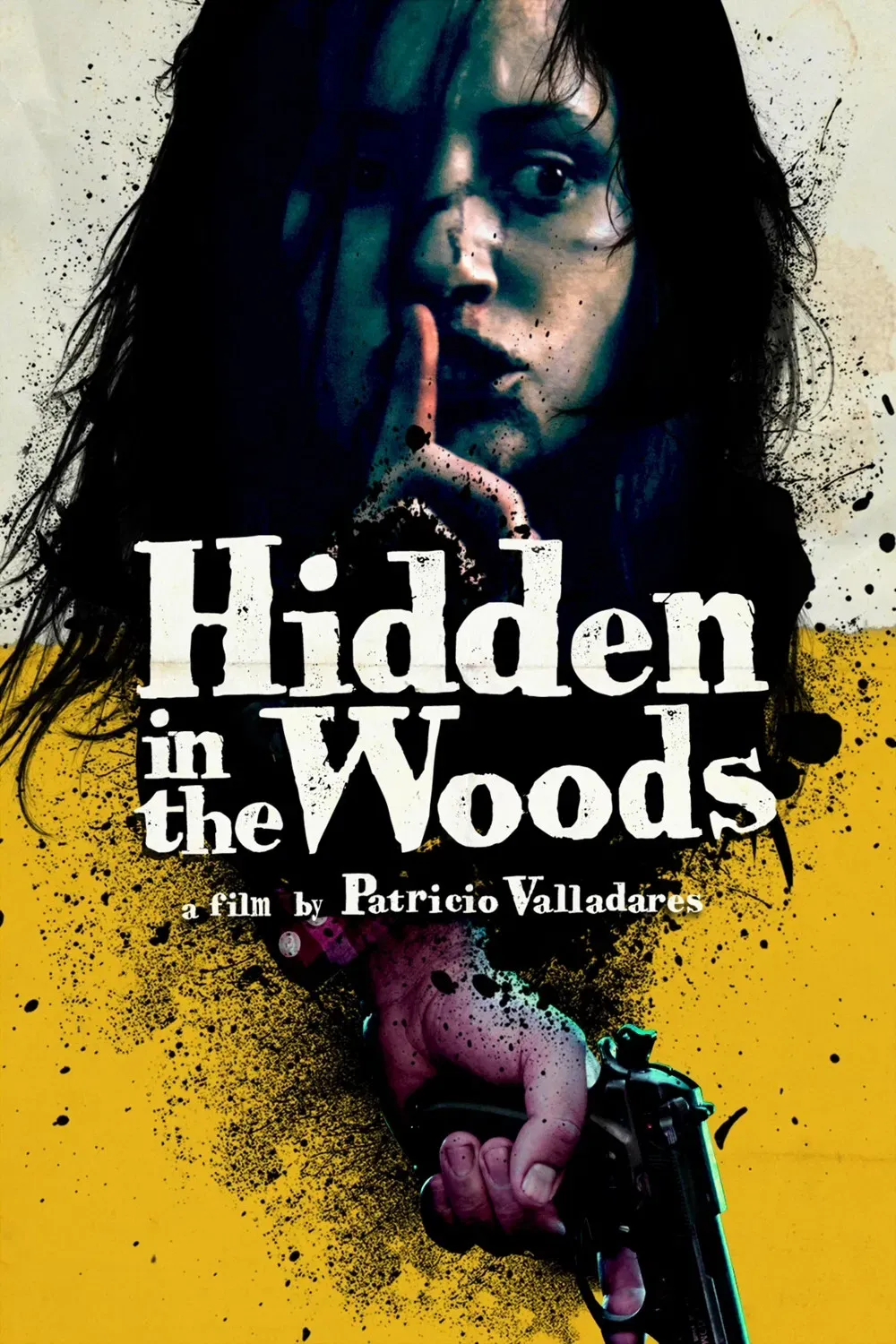 Poster of the movie Hidden in the Woods