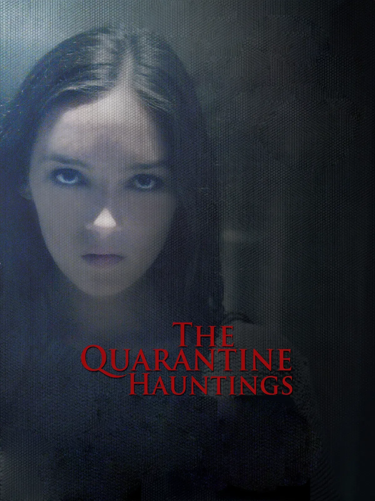 Poster of the movie The Quarantine Hauntings