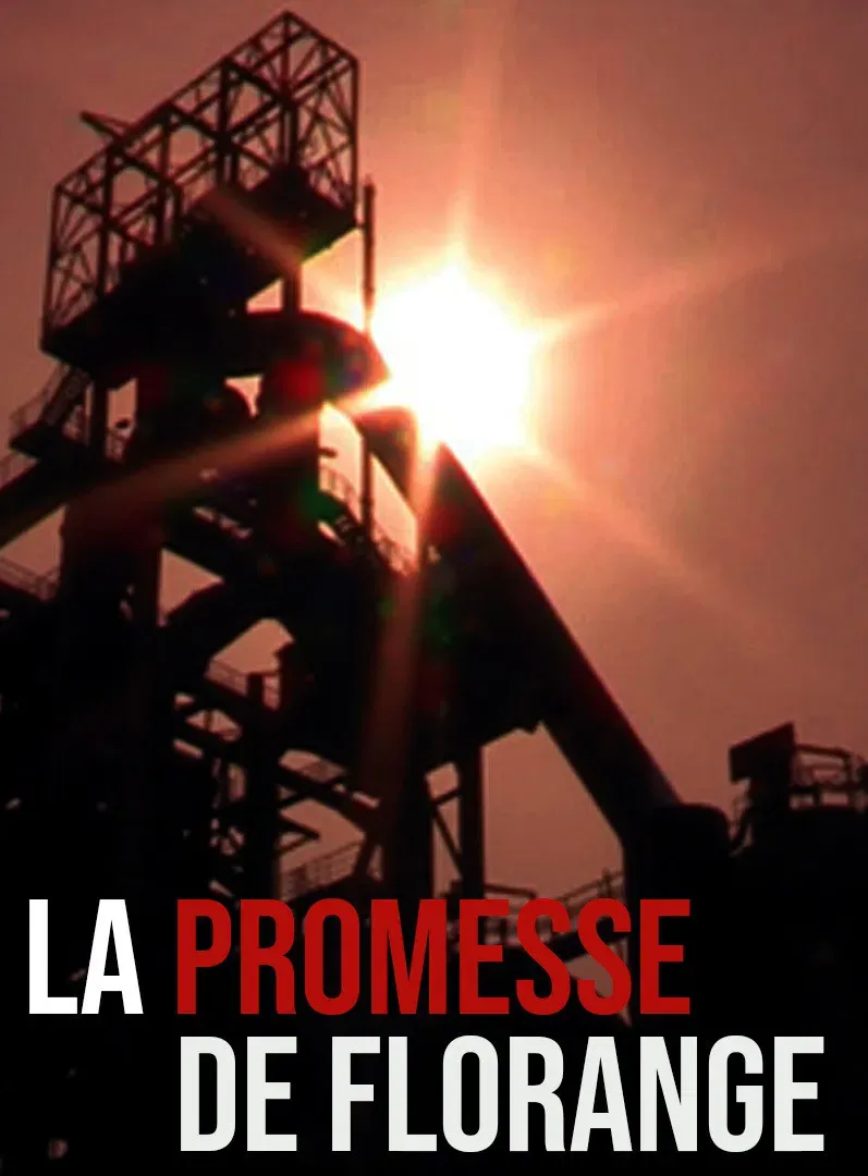 Poster of the movie La promesse de Florange