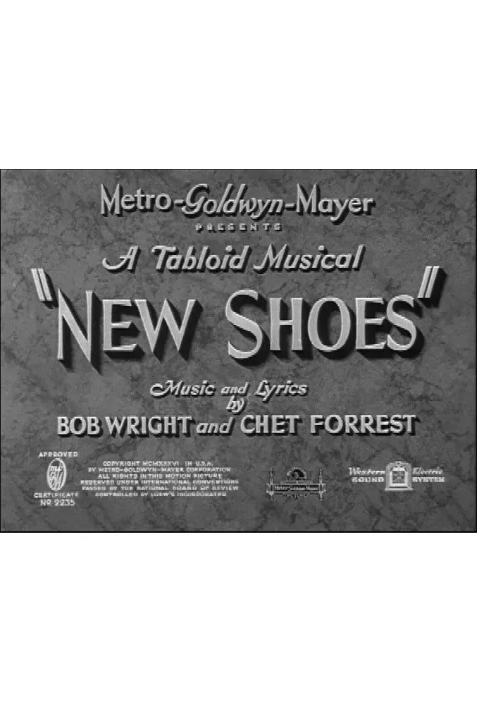 Poster of the movie New Shoes