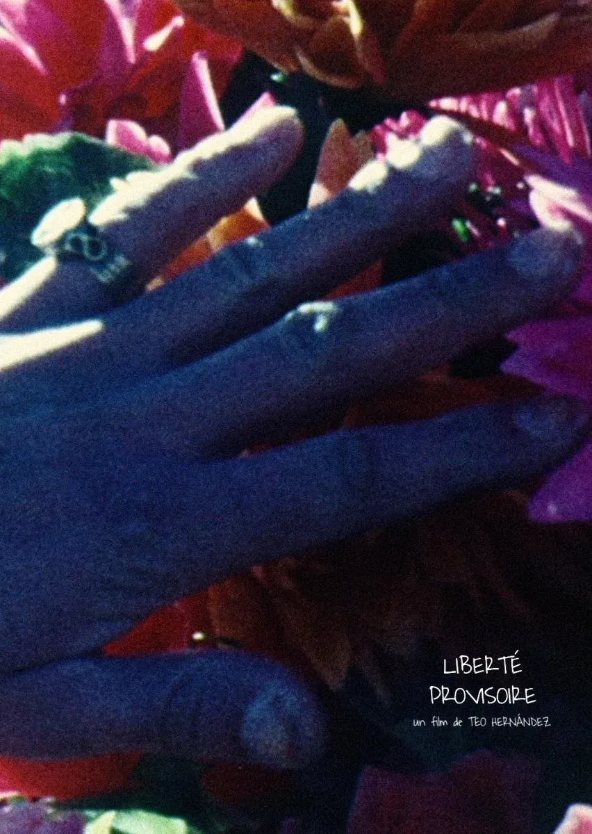 Poster of the movie Liberté provisoire