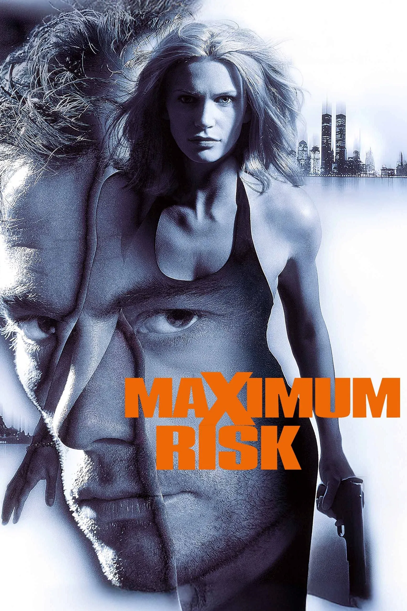 Poster of the movie Maximum Risk
