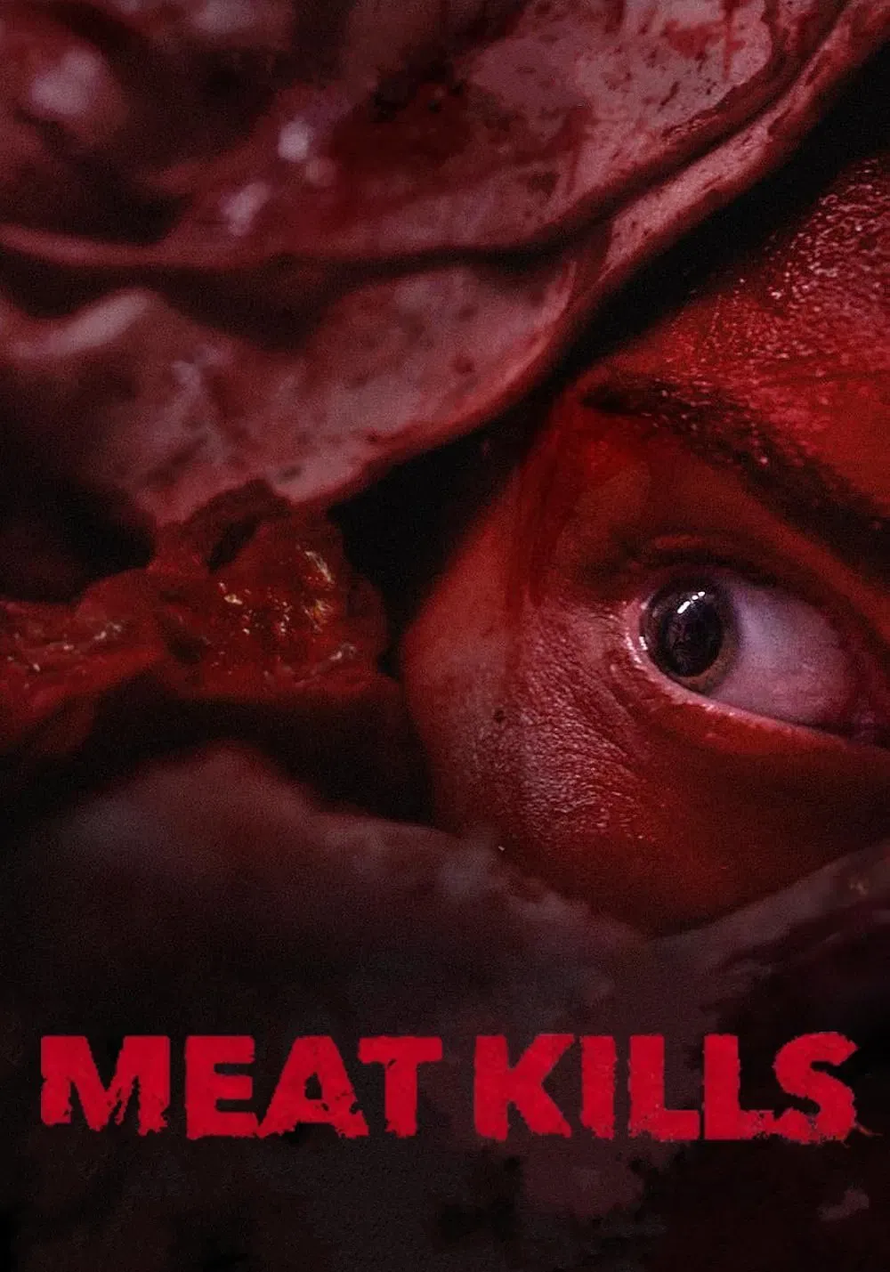 Poster of the movie Meat Kills