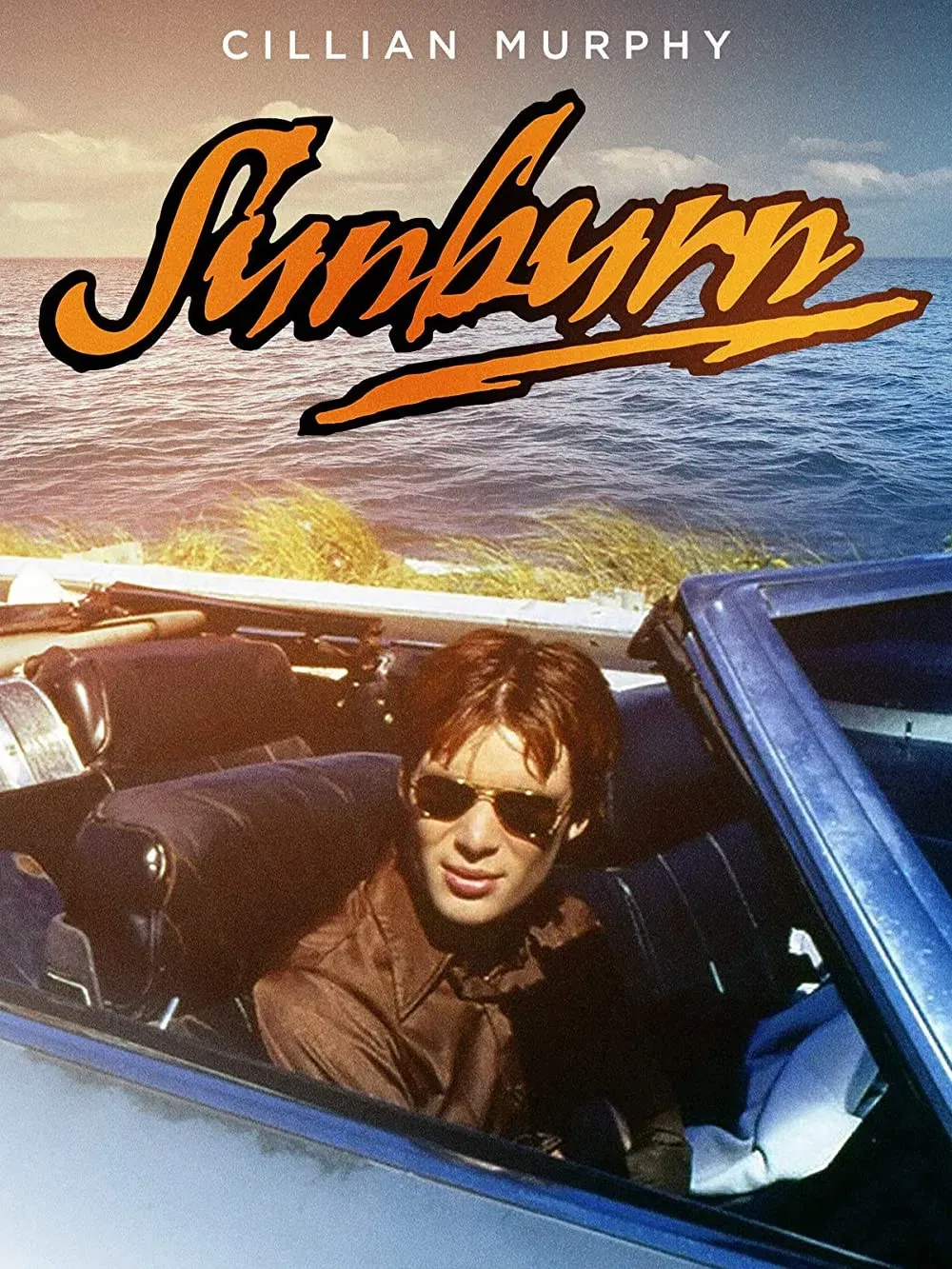Poster of the movie Sunburn