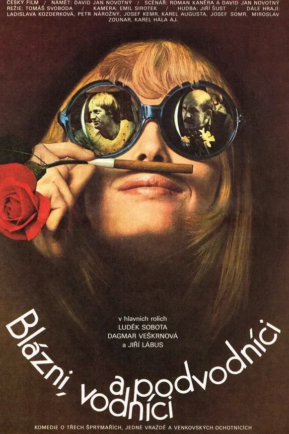 Poster of the movie Blázni, vodníci a podvodníci