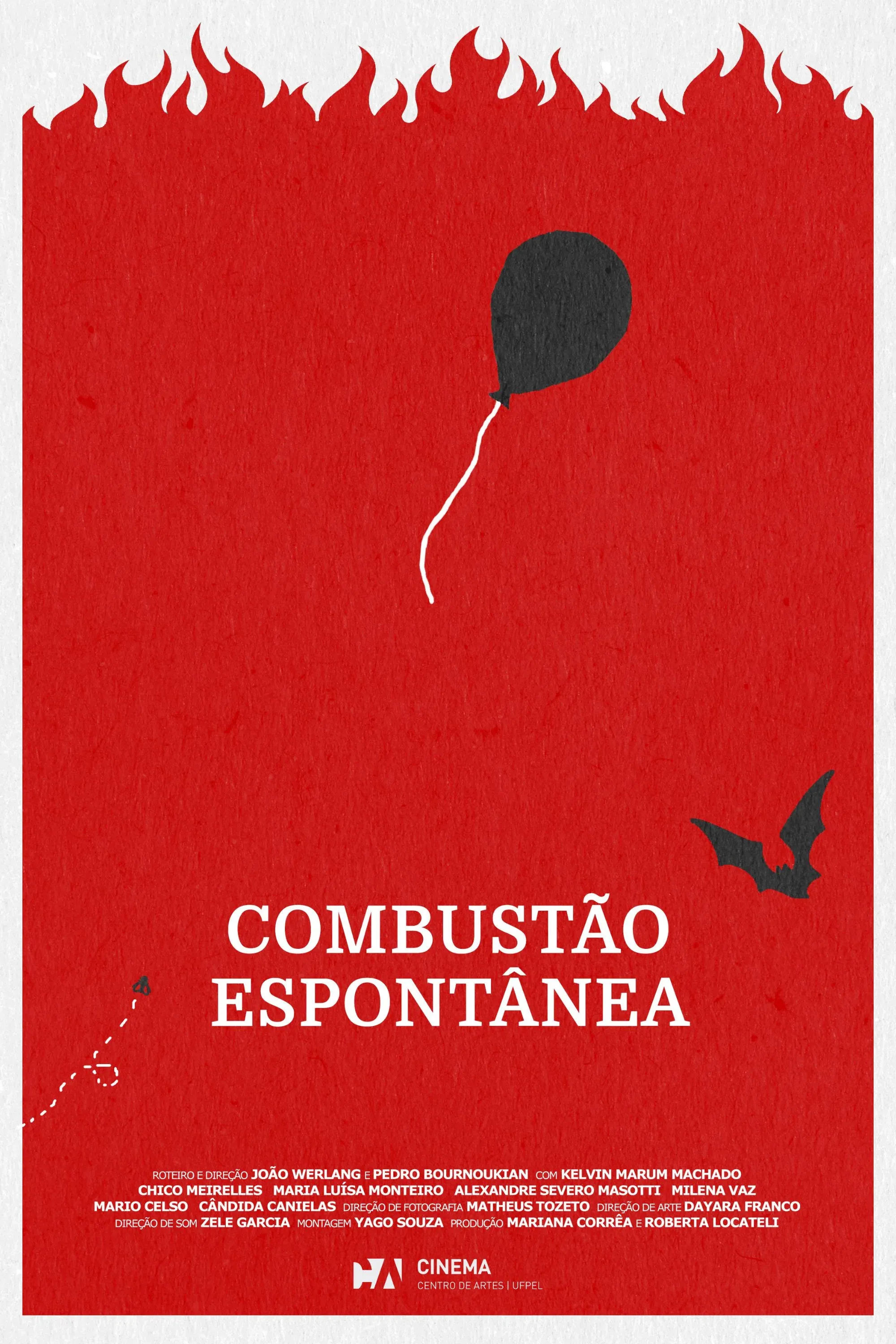Poster for Combustão Espontânea