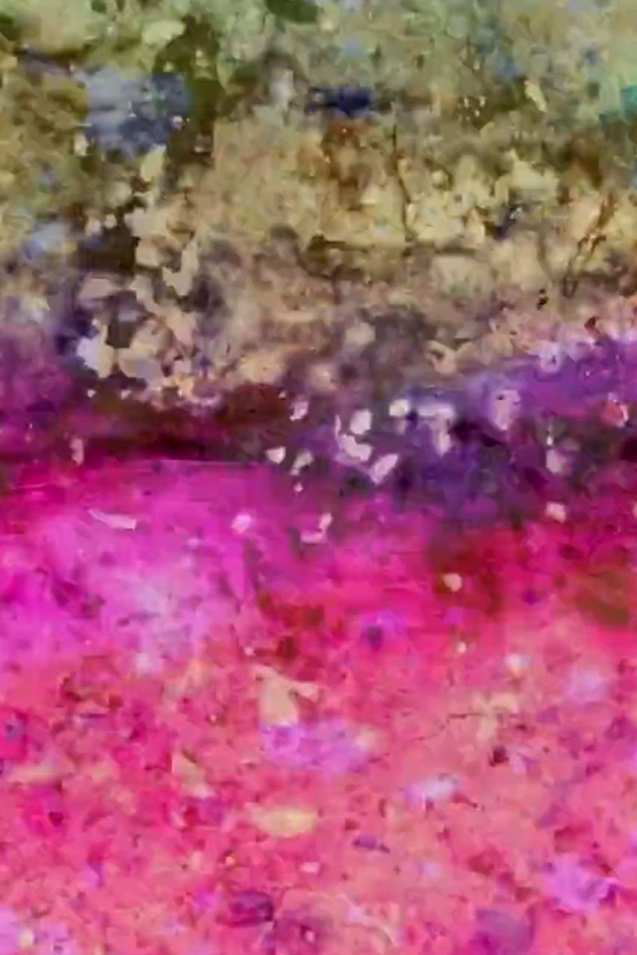 Poster of the movie Neptune