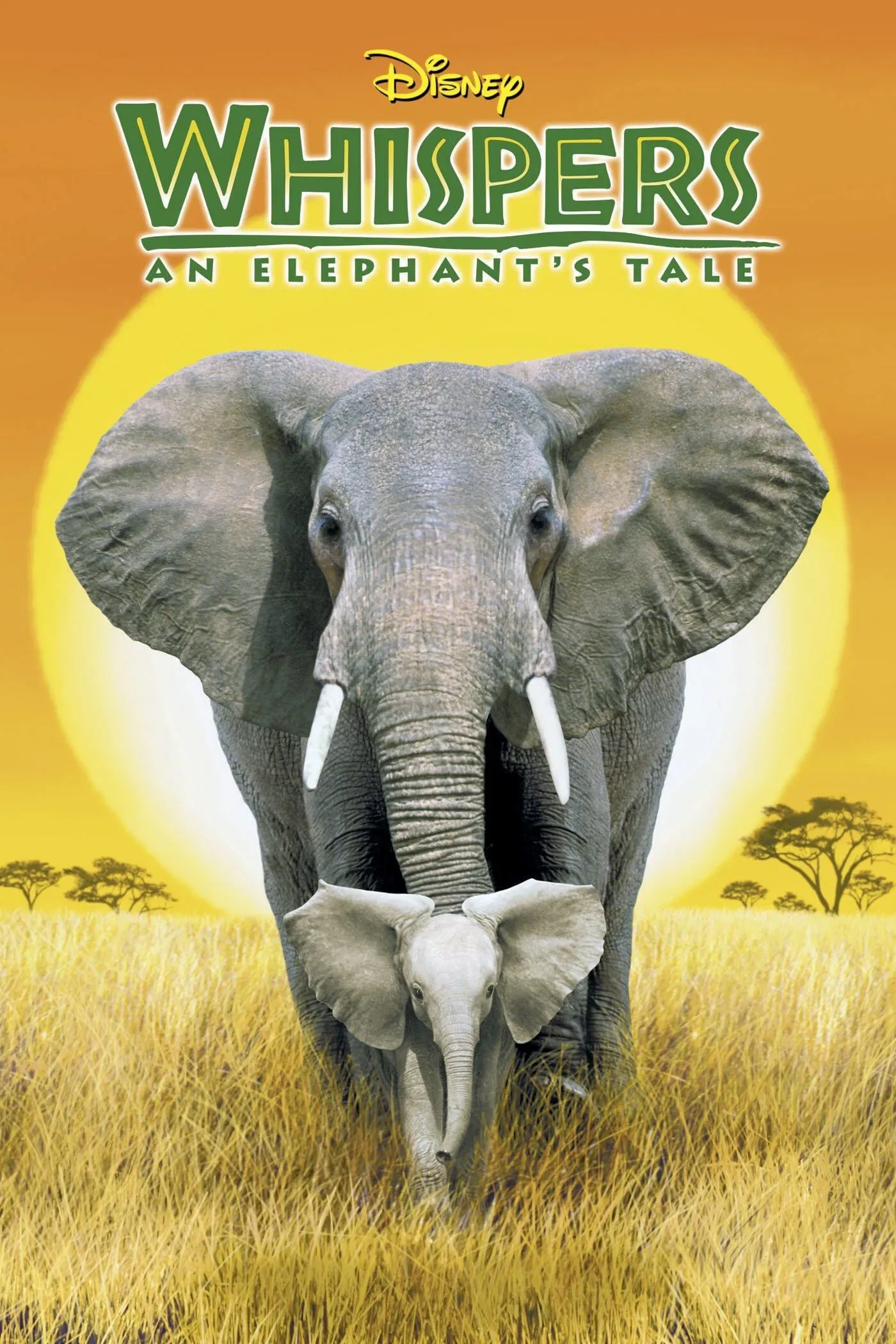Poster of the movie Whispers: An Elephant's Tale
