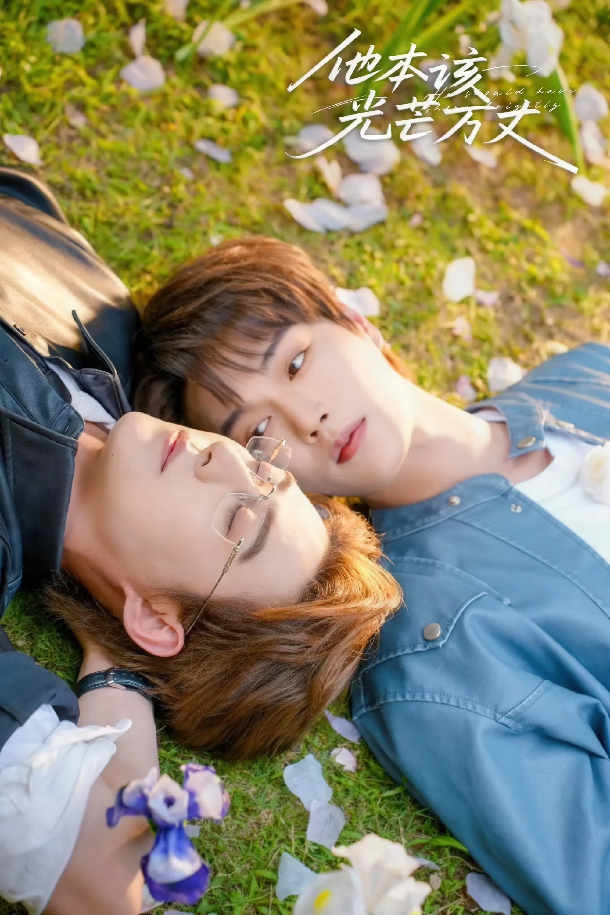 Poster of He Should Have Shone Brightly