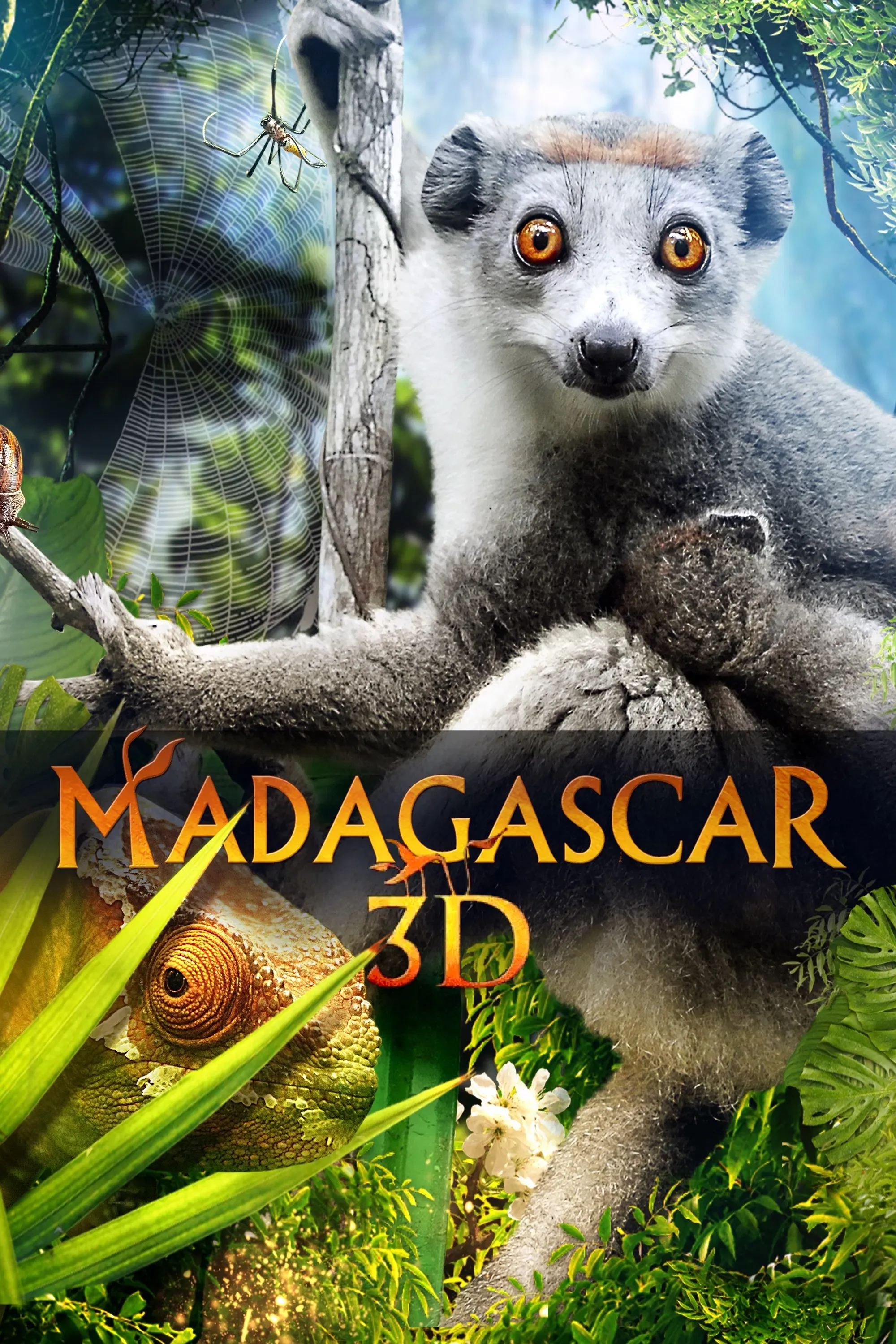 Poster of the movie Madagascar 3D