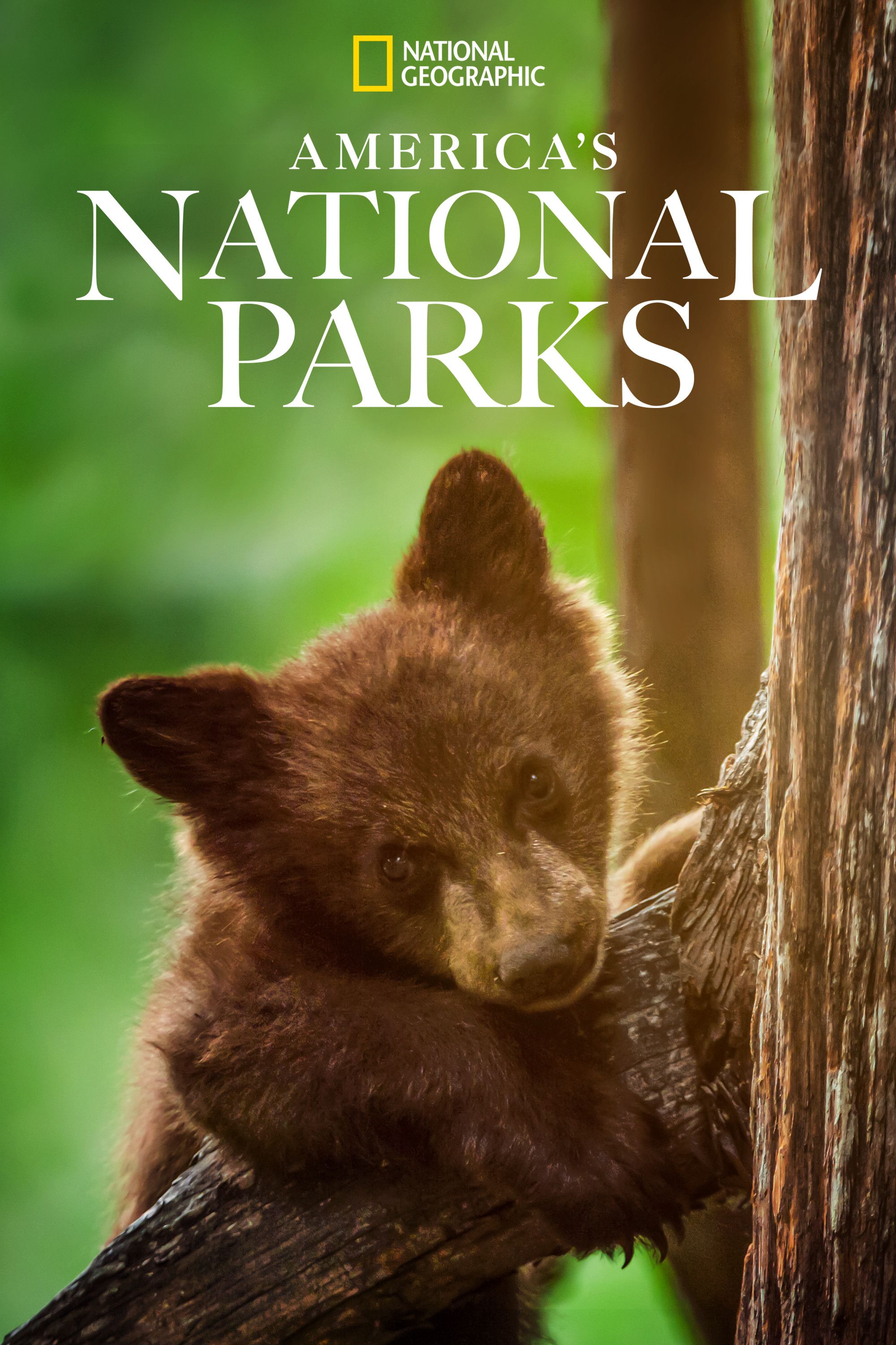 Poster of America's National Parks