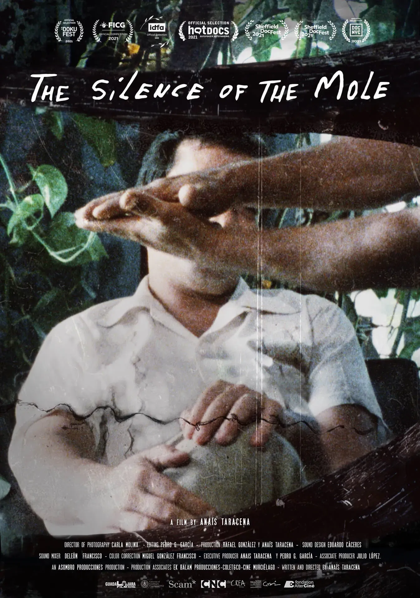 Poster of the movie The Silence of the Mole