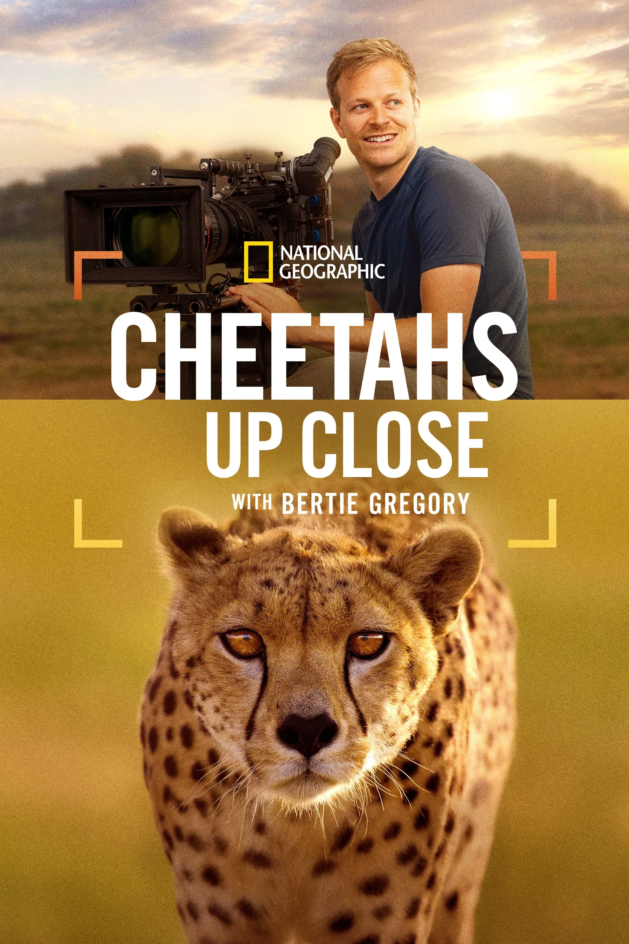 Poster for Cheetahs Up Close with Bertie Gregory