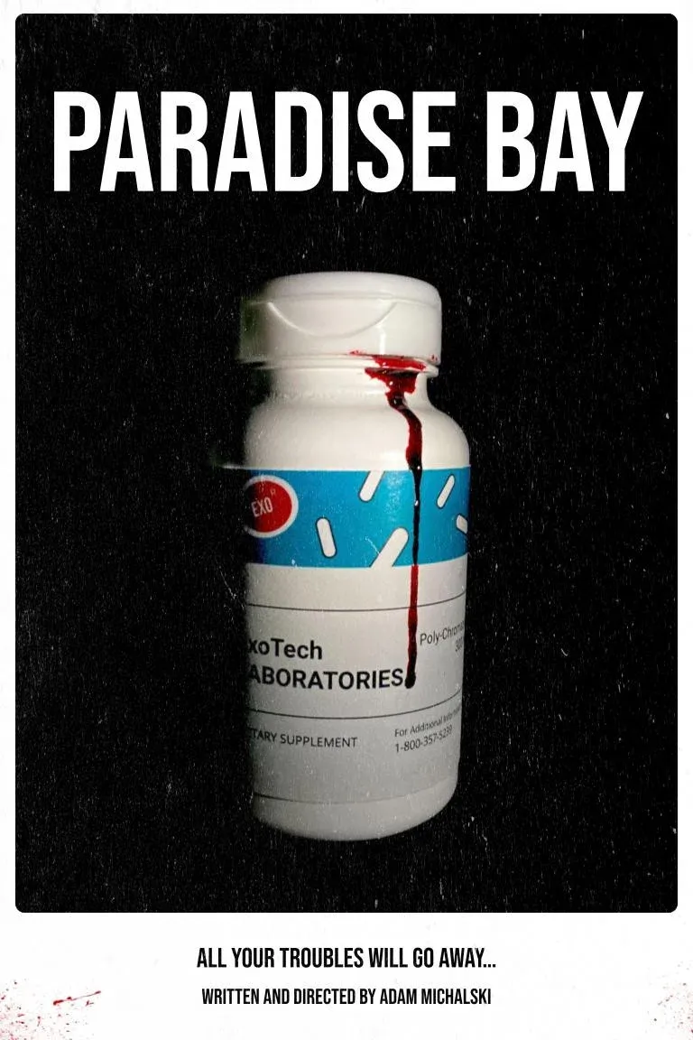 Poster for Paradise Bay