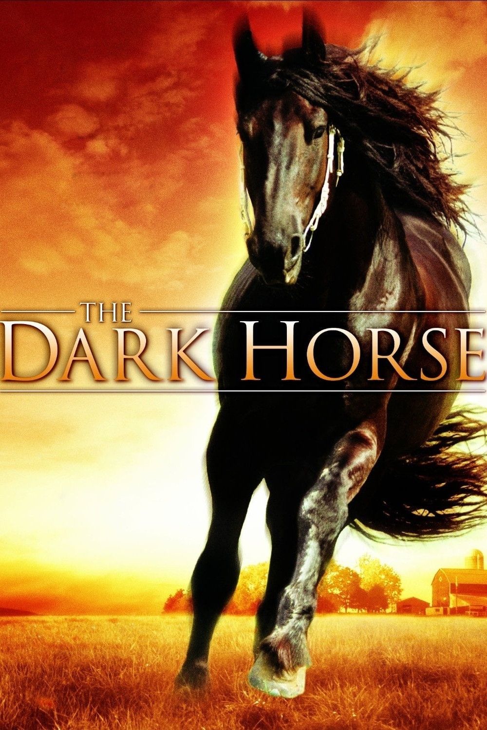Poster of the movie The Dark Horse
