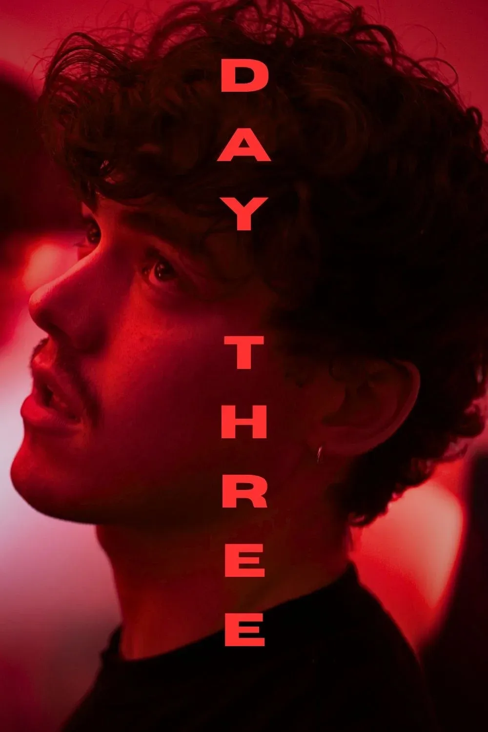 Poster for DAY THREE