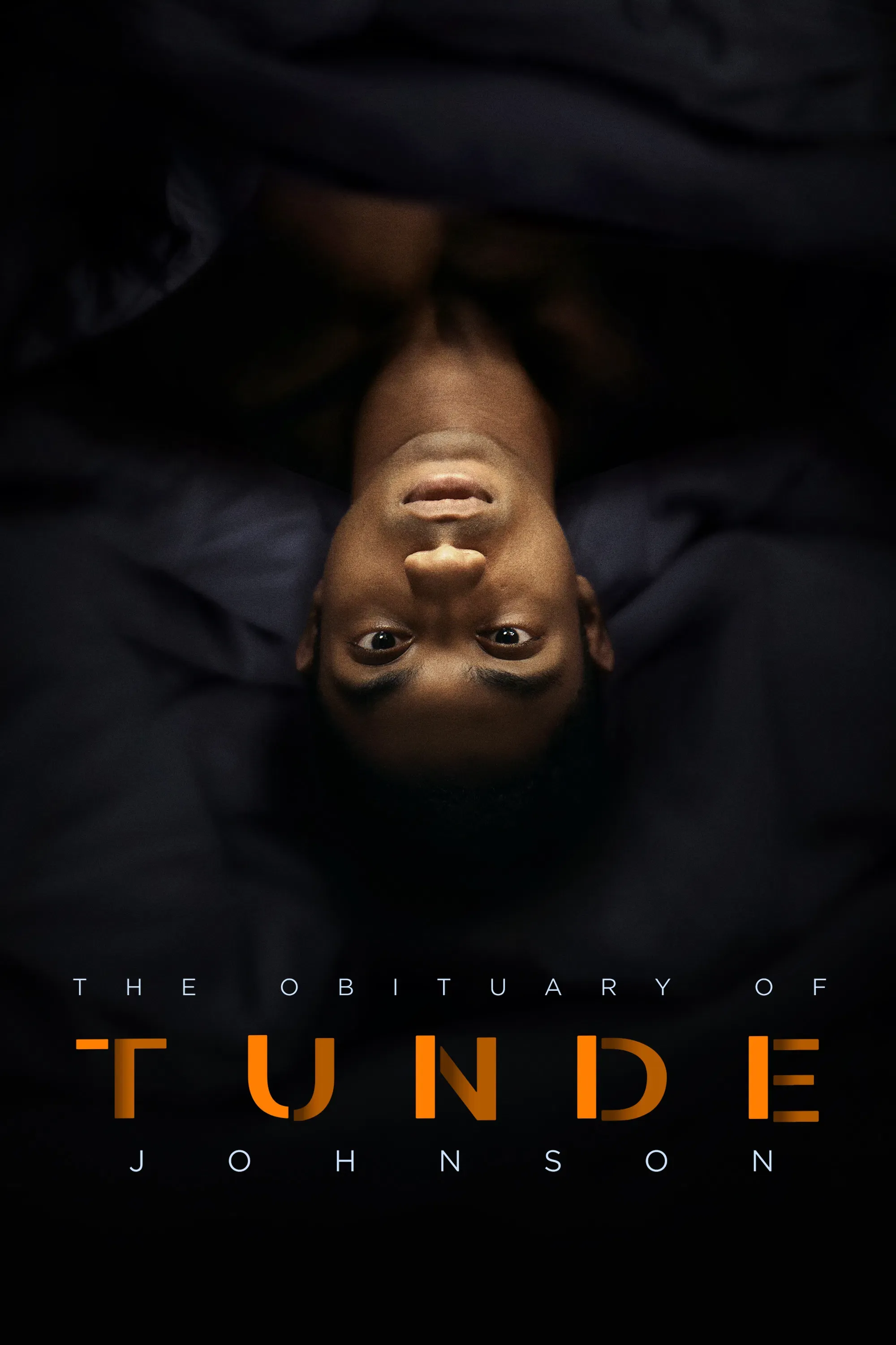 Poster of the movie The Obituary of Tunde Johnson
