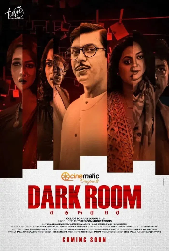 Poster for Dark Room