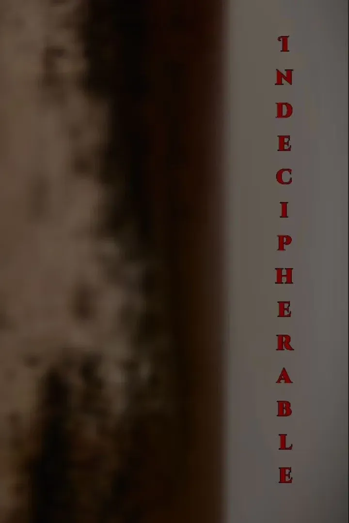 Poster for Indecipherable