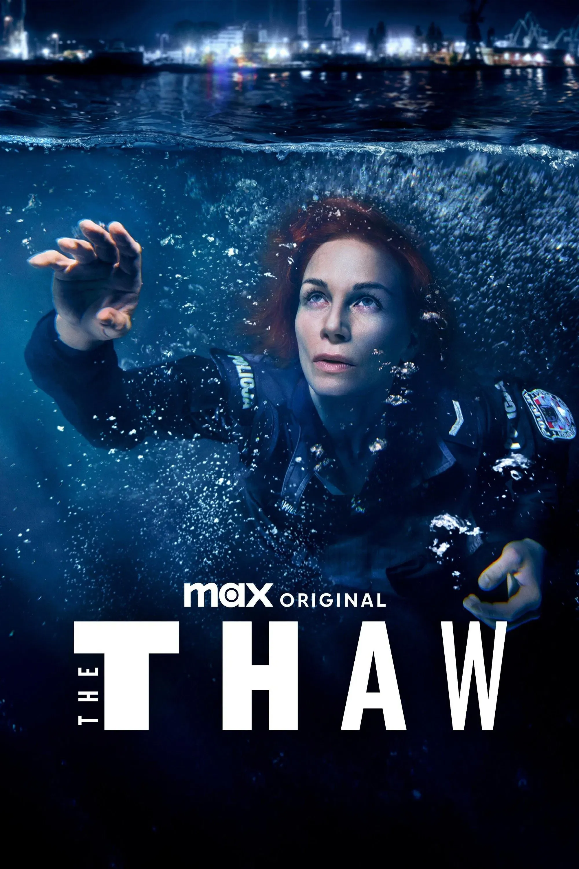 Poster of The Thaw