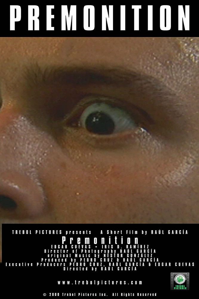 Poster of the movie Premonition